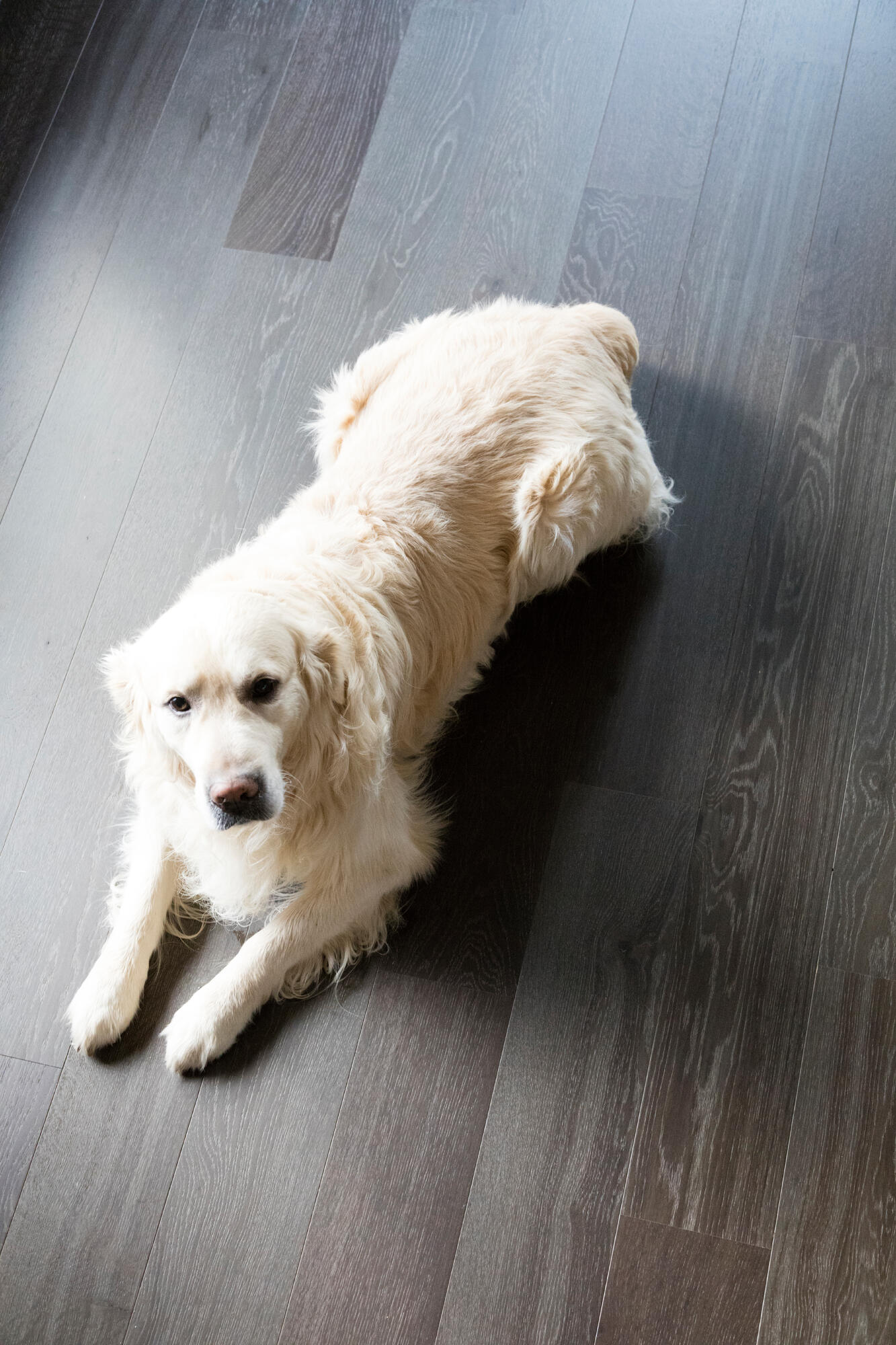 Parket - Les Exclusifs - Oak Naturel 02 Abyss
