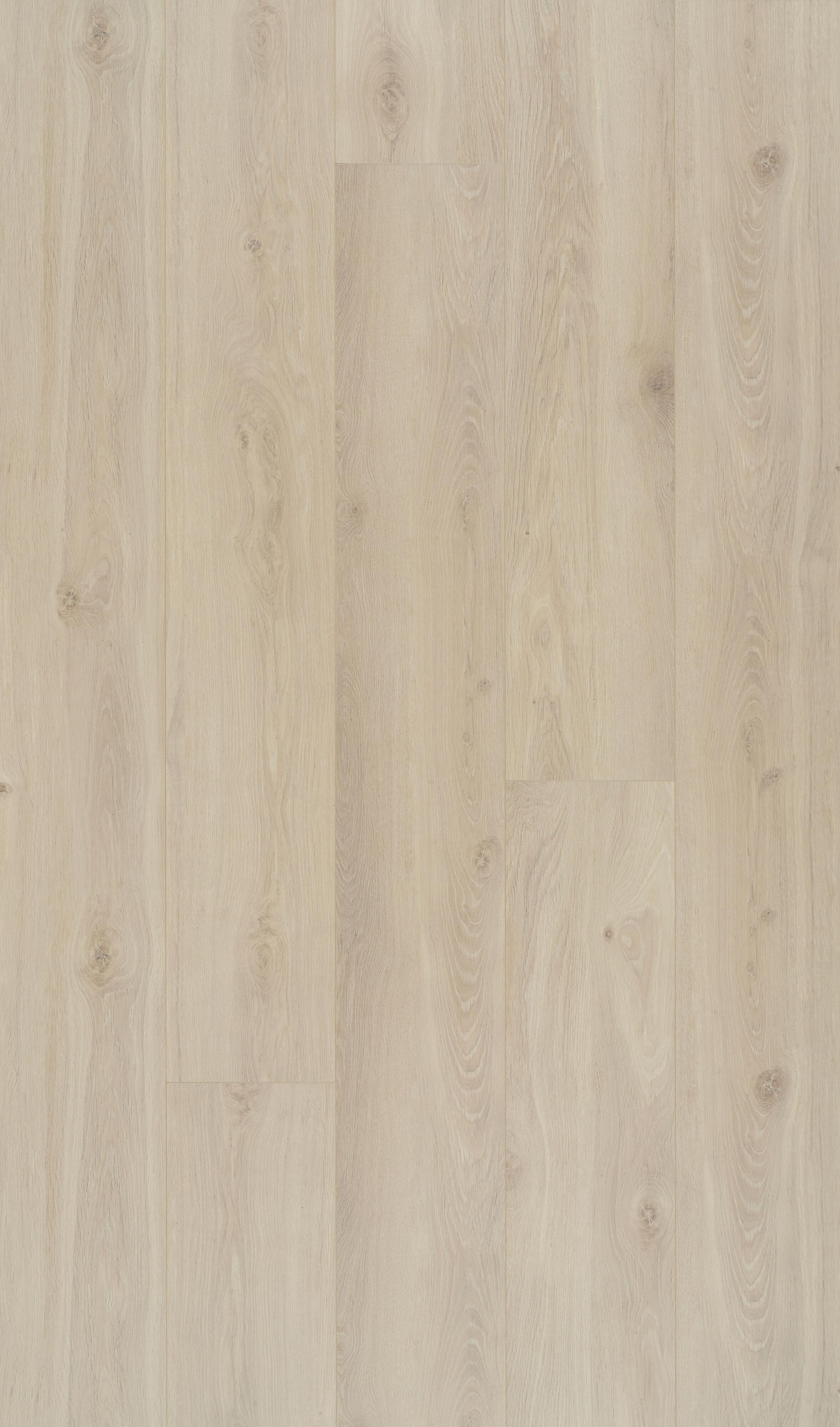 Laminate - Ocean+ - Bloom Sand Natural