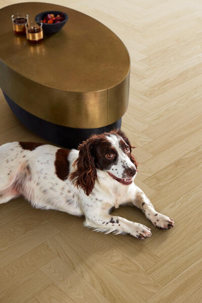 Strong wood floors - Parqwood herringbone - Chêne Calm